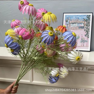 2024�¿�ĸ߷��洹��̫ꖾ��ָ���ĭ���|��������������Ȼ�ջ�