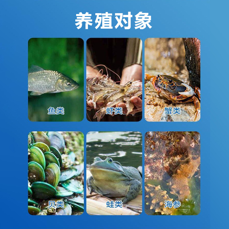 10エーカーの肥料と水のペプチド混合アミノ酸肥料は、大きな水域でワルバウム、浮遊生物、藻類を育てるのに適しています。|undefined