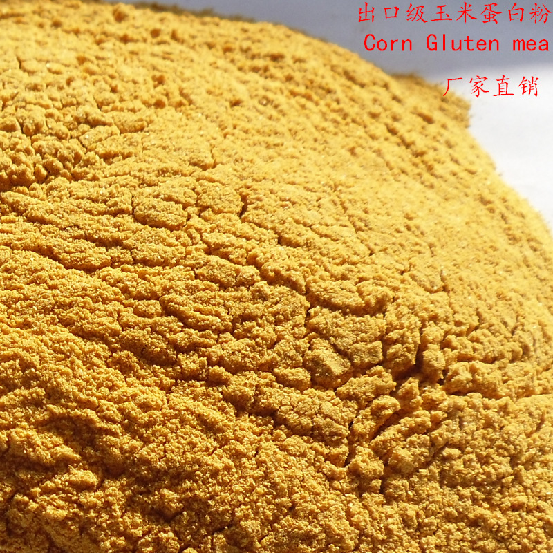 现货批发饲料用玉米蛋白粉 饲料级蛋白粉 植物型饲料添加剂