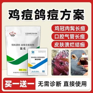 �u�����u����ș�����`�����u����ɢ�u�������u��ɢ�u���u����