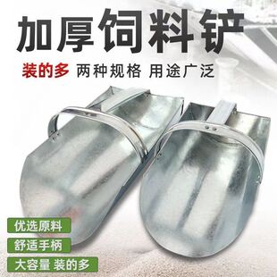 ��\����P�ӼZʳ�غ��P���϶��������ư��������Ӱ�A���F����