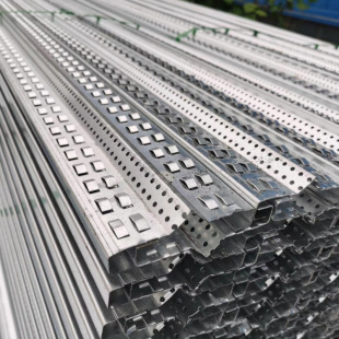 �տھW�~�[�W�󝲎����ģ��W ���������󝲎����{���B��������