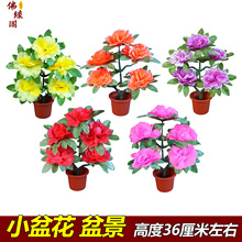 ���������ڻ�����ٻ�С̖�辰�軨���������Ĺ�ω��״�����