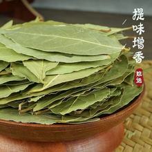 干香叶新货广西香料月桂叶炖肉煲汤味正浓郁香料调料商用团购批发