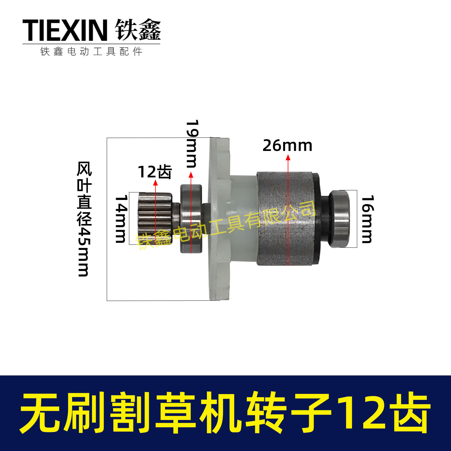 电动除草机21V无刷割草机电机12齿锂电打草机绿篱机转子05589