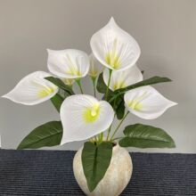 羳Rɏ滨̖LUë^9^Rɏٻ滨Y