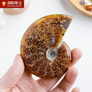 ��Ȼ�߲��ݻ�ʯ�R�_��˹�Ӿ�ʯ���ݹ����ﻯʯԭʯ�Vʯ�˱��[��