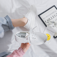 ͺСЬŮ2021¿ŮЬļٴ^ЬӴЬW2313