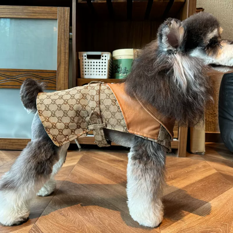 狗狗衣服潮牌春夏薄款中小型犬博美巨贵比熊泰迪雪纳瑞柯基大披风