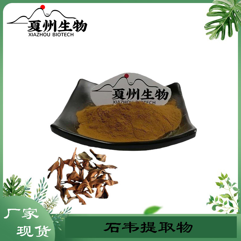 石韦提取物10/20/30/50:1规格 石剑箸 石皮  夏州生物 量大从优kg