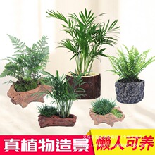 ��������ˮ�~���b��ײ�ֲ���ˮ�ų�ľˮ��ˮ����ˮ����װl̦�\