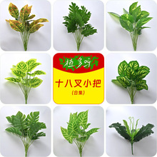 ����ֲ��Gֲ���Ի��ۻ����b��~��18��С��ֲ��ٻ��쾰���