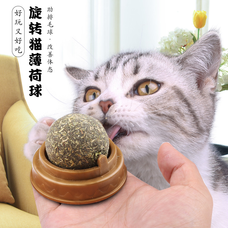 Bolas de menta para gatos, pirulitos para mascotas, juguetes para gatos, palillos para gatos, palillos para gatos, palillos para gatos, palillos para gatos