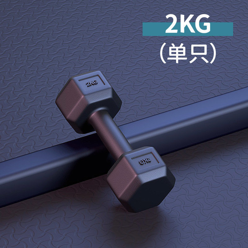アウトドアスポーツダンベルメンズフィットネス家庭用機器ペアスポーツ六角女性用小型ダンベル2/3|undefined