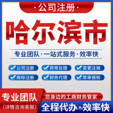 哈尔滨尚志五常公司注册营业执照注销变更代理记账依兰县通河延寿
