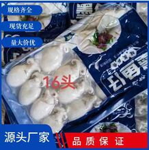 墨鱼仔新鲜冷冻商超餐饮可用鲜冻小海鲜干冰墨鱼仔等海鲜水产批发