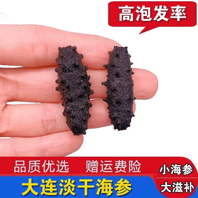 Даляньский Светлый Сушеный Малый Морской Огурец Apostichopus japonicus Liaoshen Оптовая Продажа Быстрый Пена Морской Огурец Сушеный Немедленный Морской Огурец
