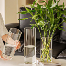 直筒透明玻璃花瓶高级感现代简约家用水培花瓶ins风高颜值摆件
