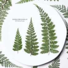 ާ�Ѻ�� ����~��ާ��ާ��βާ�ɻ����������ֹ��N��diyֲ��˱�