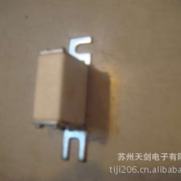 供应慢速熔断器 CAHO  保险丝F38*98-100A