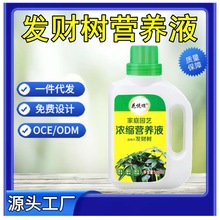 发财树营养液肥料适用肥治叶子发黄掉叶烂根室内花肥植物液体防黄