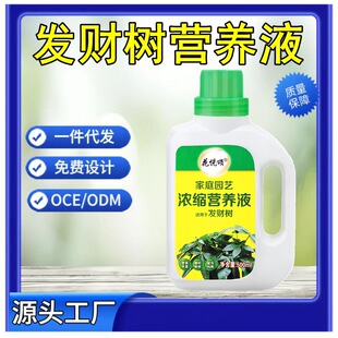 Money Tree Nutrient Solution Fertilizer Is Suitable for Treating Yellow Leaves, Leaf Loss, Root Rot, Indoor Flower Fertilizer, and General Plant Use