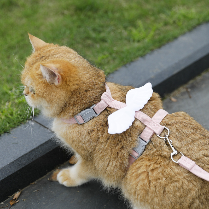 跨境花朵猫咪牵引绳工字型宠物牵引绳套装小型犬狗狗牵引绳遛猫绳|undefined