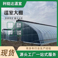 大棚钢管骨架养殖大棚生产农业温室大棚蔬菜种植小型保暖家用全套