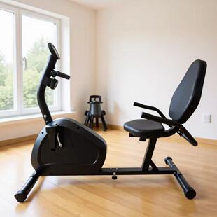 ֱ�ۿ羳����܇���Æ�܇�ӸІ�܇��ʽ�_̤܇����܇Recumbent Bike