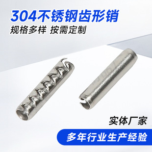 ����304���P��X���N���l �S���X�Ώ����N ��X�N���y���X�����N