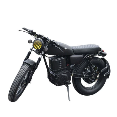 Cross-Border Exclusive Supply, Elektrikli motosikletlər