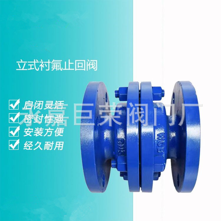 南高阀门 法兰 型号H42F46 单向 耐腐蚀 碳钢 立式衬氟止回阀
