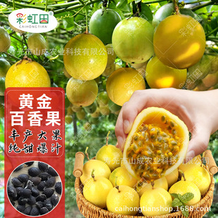 �S�������N�Ӵ����ļ��̨���԰������u�����N��ˮ����һ�����l