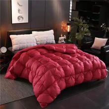 高档羽绒被白鹅绒冬被春秋被鹅绒羽绒被芯加厚保暖冬被单人双人