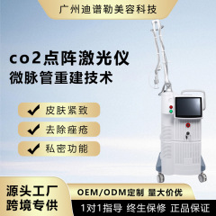 跨境外贸立式co2点阵激光美容仪私密紧致私密功能商用美容院仪器