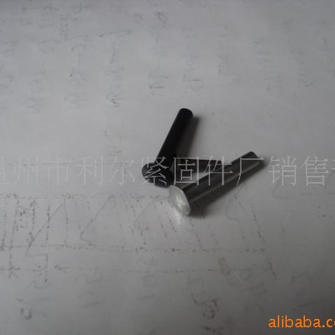 扁圆头半空心铆钉，国标GB873