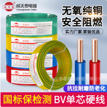 ����̩���˼��~о�ι�BV1.5/2.5/4/6/10ƽ�����b�Æ�о��ȼӲ늾�