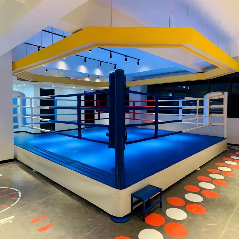 Cross-Border Custom Boxing Ring, Comprehensive Competition Arena, Martial Arts Sanda Free Fighting Floor-Standing Standard Training