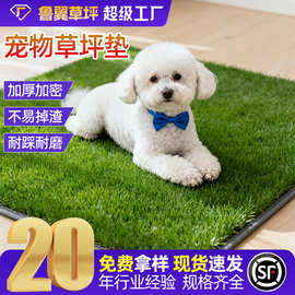 宠物厕所草坪垫假草皮地毯垫阳台仿真狗狗猫咪大小便人造仿真草坪