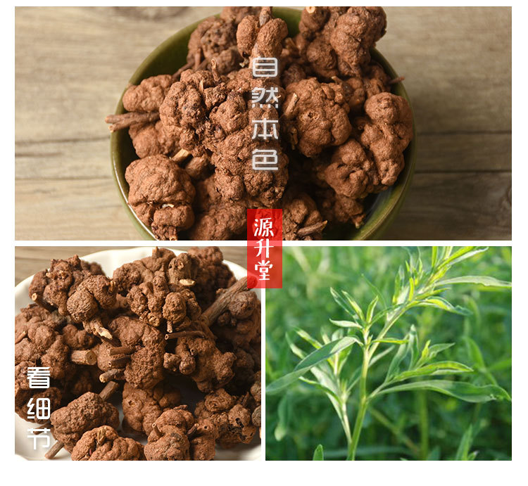 Xiao Liu Guo (Wild Mountain Herb) — Yunnan-Sourced Dried Food Herb, 500g key features