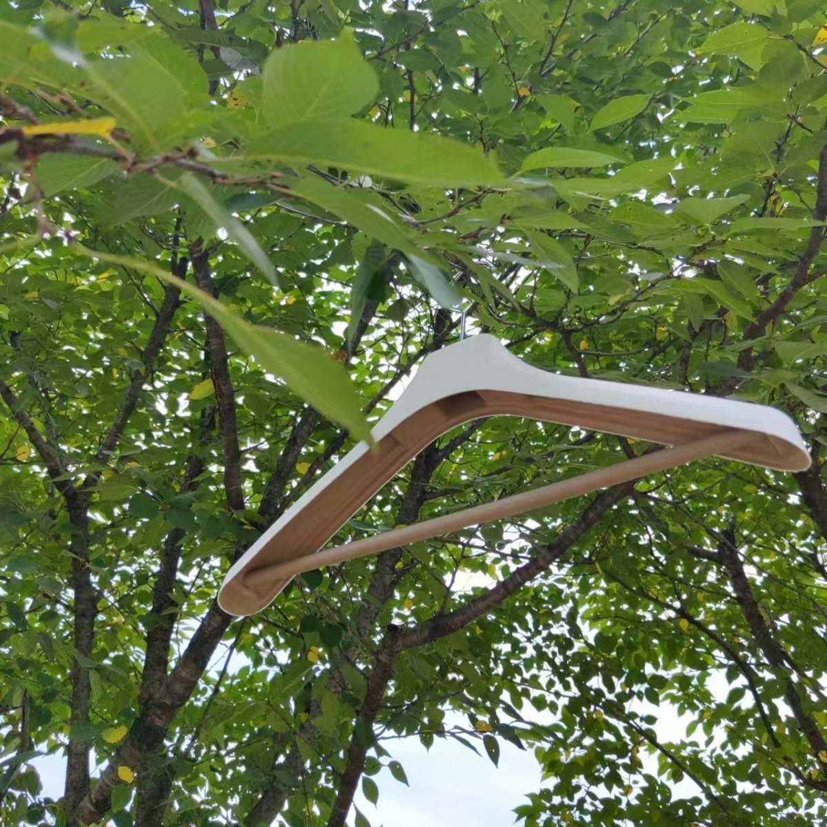 2024-08-31 09:36:04.jpg