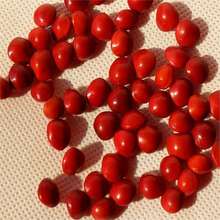 �t���N�� ̨����˼�����t���N�� �t�����χ���ȸ���uĸ������t��