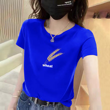 �n�����A�I����t��Ůʿ2026�ļ��¿�ӡ����a������MM�w������