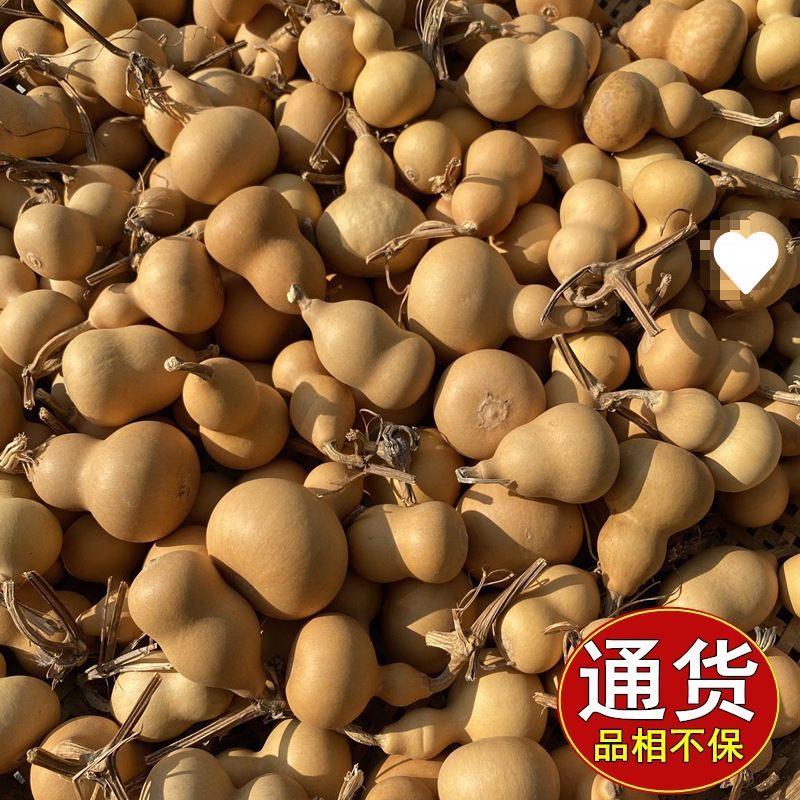 小葫芦一手货源带龙头天然手捻把玩件地摊文玩供应真工厂|undefined