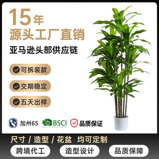 ������Ѫ������٘���������҃ȿ͏d�b[������Gֲ����ľֲ��