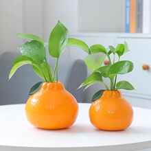 �������ӻ�ƿ�Bˮ�G�jˮ�໨��Ҿ����[�b[�����ֵ��@�L