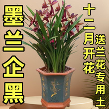 ī�m����ؼ��ߙn�ͺ����ԙѻ��m�҃Ⱥ��B�ļ�ֲ��͏d�k�����辰