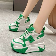 2025¿WβϵЬŮ¿ٴŮЬ10cme\Ь