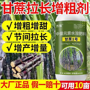 �������L��������L���ְι������~������L�{����������ό��÷�