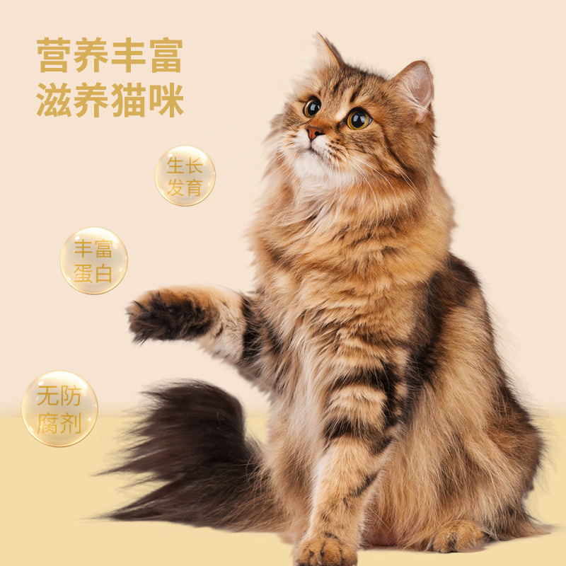 Fábrica directa de carne de pato picada 500g para gatos y perros, arroz general, nutrición, carne fresca, alimentos básicos, compañero, bocadillos para mascotas al por mayor.